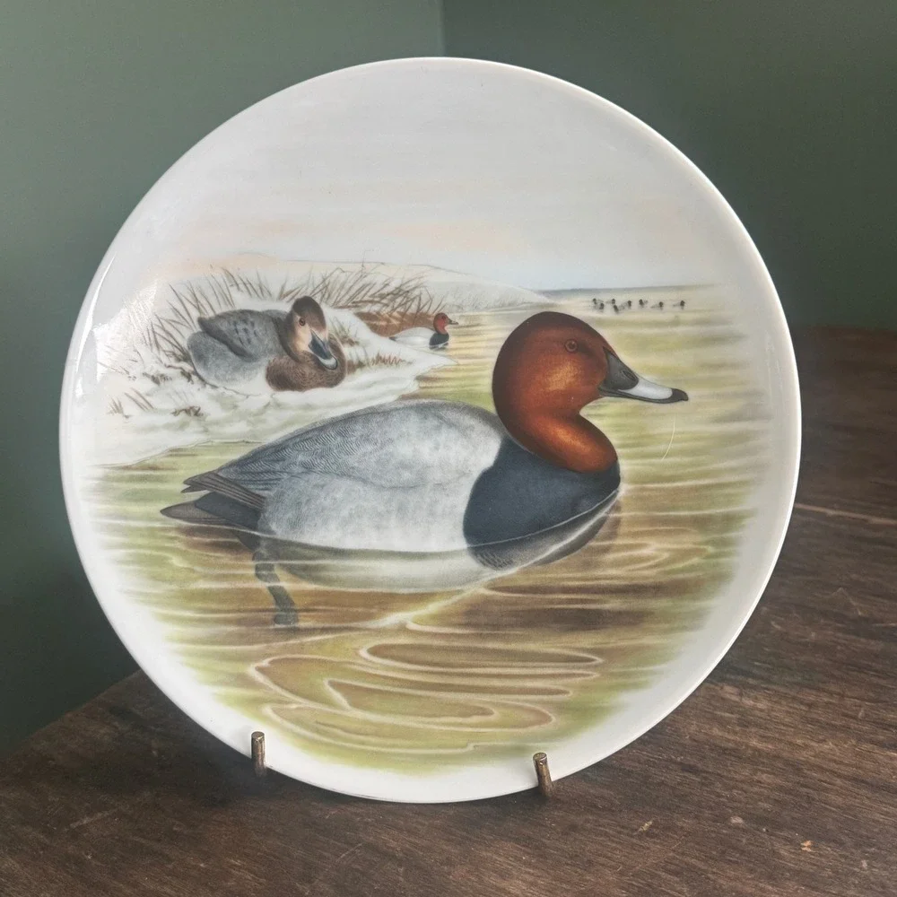 Bavaria‎ JKW Western Germany Red-crested Duck John Gould Porcelain Plate Vintage